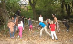 Kinder auf einer Hochseilbrücke, die einen Meter über dem Boden hängt